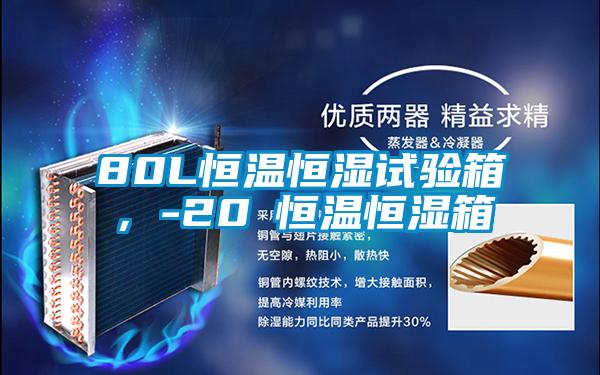 80L恒溫恒濕試驗箱，-20℃恒溫恒濕箱