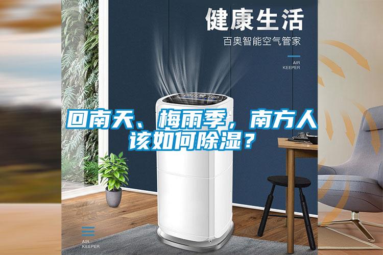 回南天、梅雨季,南方人該如何除濕?