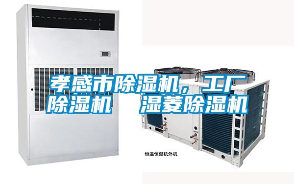 孝感市除濕機(jī)，工廠除濕機(jī)  濕菱除濕機(jī)