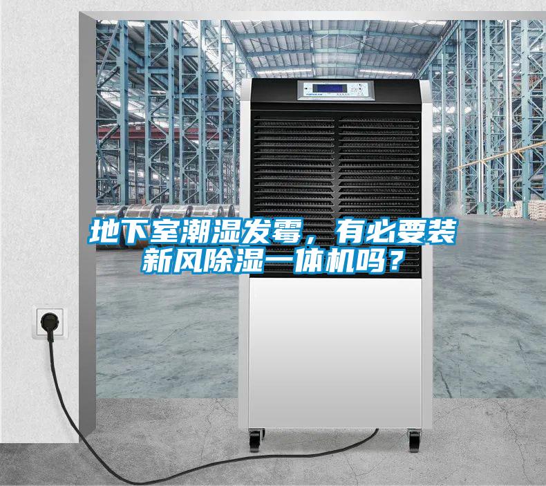 地下室潮濕發霉，有必要裝新風除濕一體機嗎？