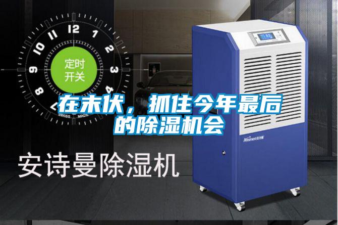 在末伏,抓住今年最后的除濕機會