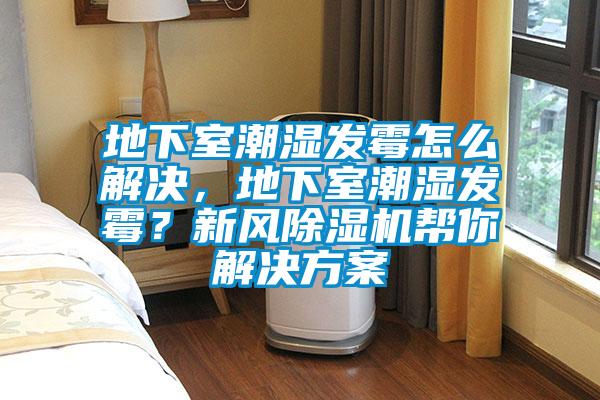 地下室潮濕發霉怎么解決，地下室潮濕發霉？新風除濕機幫你解決方案