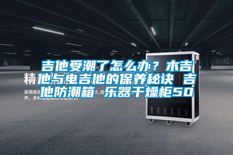 吉他受潮了怎么辦？木吉他與電吉他的保養秘訣 吉他防潮箱 樂器干燥柜50