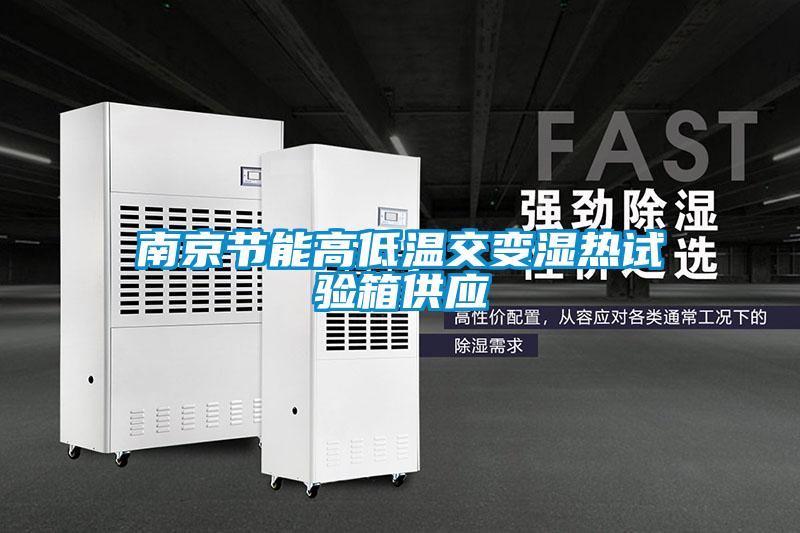 南京節能高低溫交變濕熱試驗箱供應