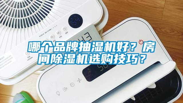 哪個(gè)品牌抽濕機(jī)好?房間除濕機(jī)選購技巧?