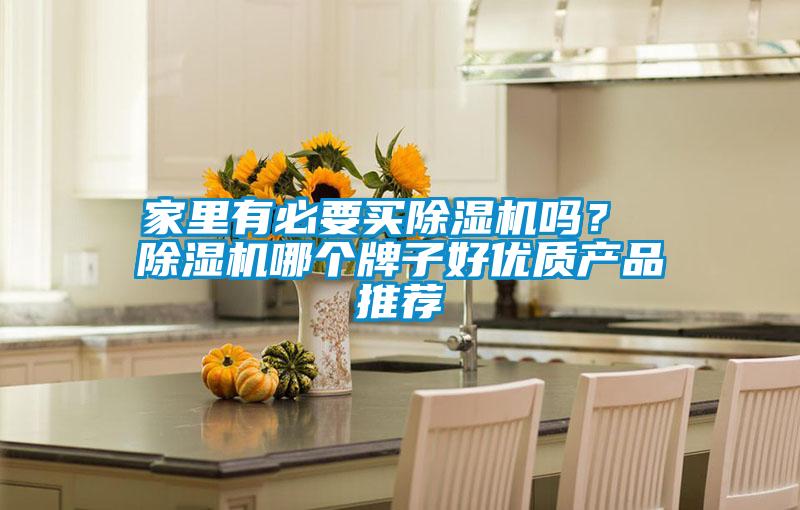 家里有必要買除濕機(jī)嗎？ 除濕機(jī)哪個(gè)牌子好優(yōu)質(zhì)產(chǎn)品推薦