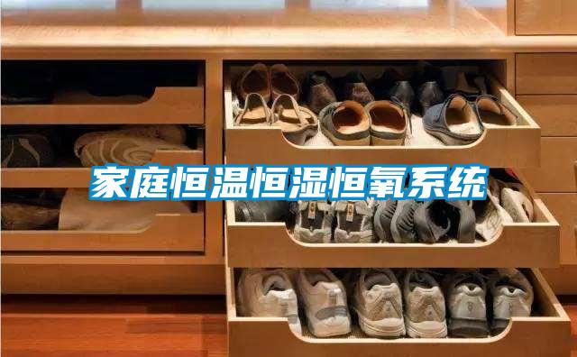 家庭恒溫恒濕恒氧系統
