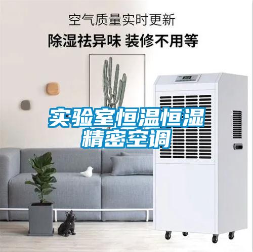 實驗室恒溫恒濕精密空調