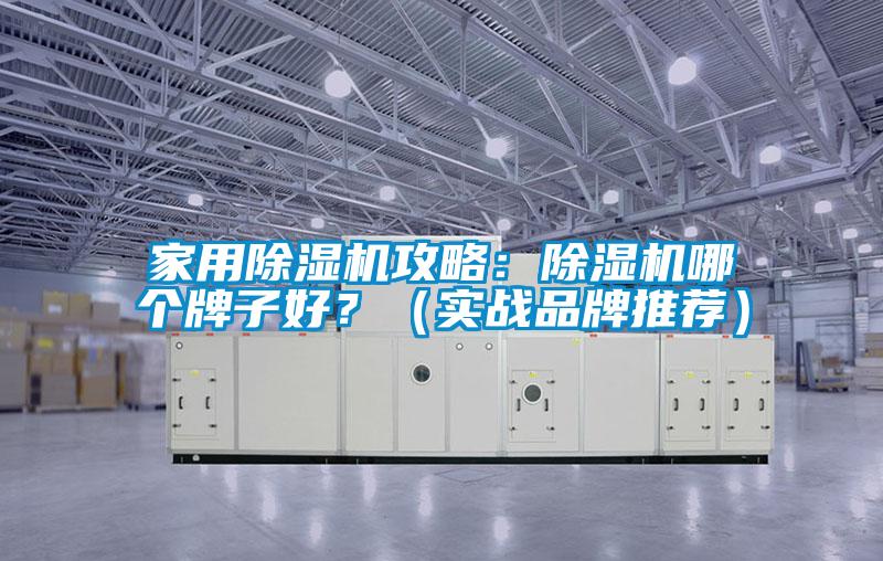 家用除濕機攻略：除濕機哪個牌子好？（實戰品牌推薦）