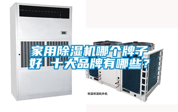家用除濕機哪個牌子好 十大品牌有哪些？