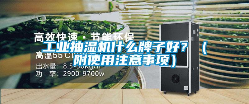 工業(yè)抽濕機(jī)什么牌子好?(附使用注意事項(xiàng))