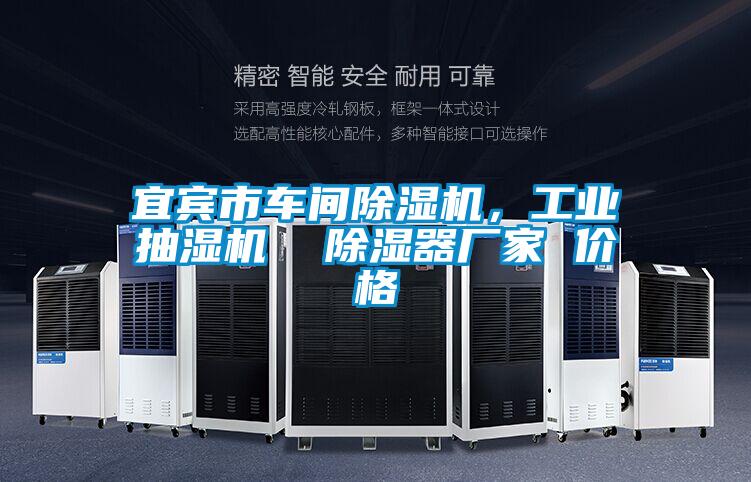 宜賓市車間除濕機，工業(yè)抽濕機  除濕器廠家 價格