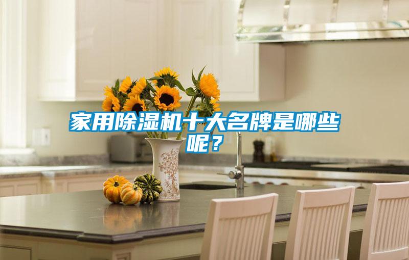 家用除濕機十大名牌是哪些呢?