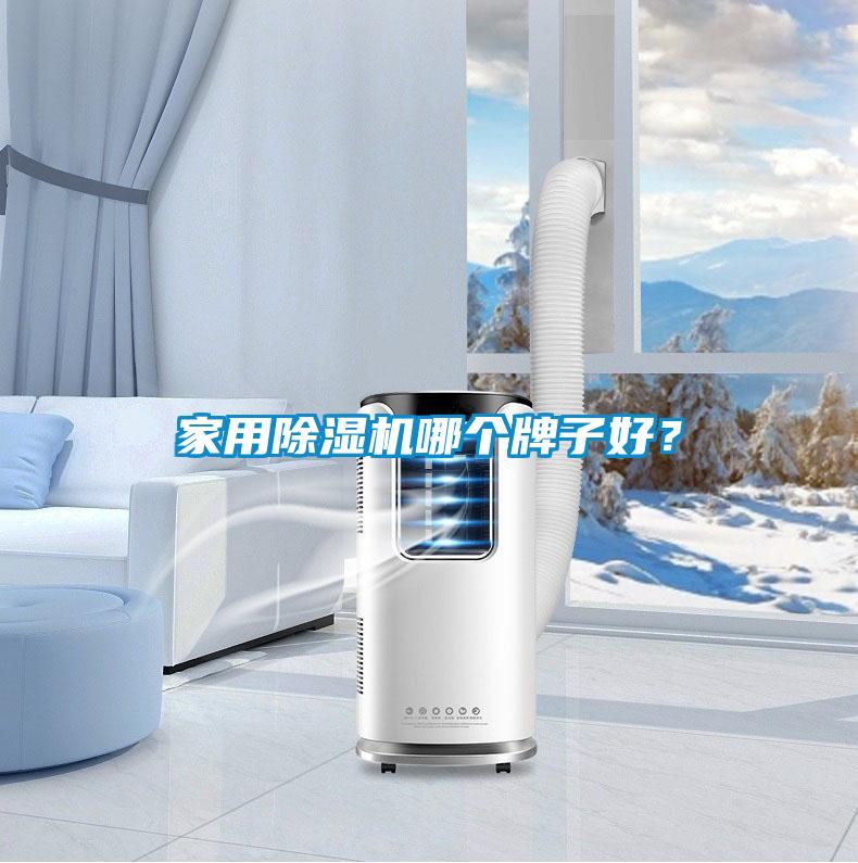 家用除濕機哪個牌子好？