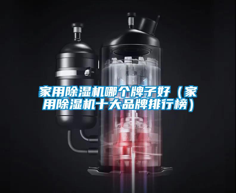 家用除濕機(jī)哪個牌子好(家用除濕機(jī)十大品牌排行榜)