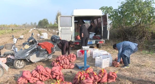 7c3fc69e6186fc71683c08f3f75d9be2_641 7c3fc69e6186fc71683c08f3f75d9be2_641